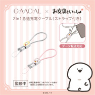 2in1急速充電ケーブル（Type-C）（２種類）