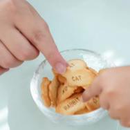 たべっ子どうぶつLAND POP UP STORE