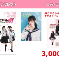 フォトパンフレット