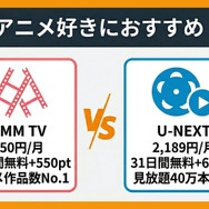 アニメ好きにおすすめの動画配信サービス2選
