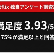 Netflix 独自アンケート調査結果まとめ