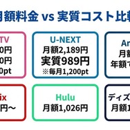動画配信サービス 月額料金と実質コストの比較