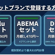 Disney+ 登録方法 セットプランで登録する方法