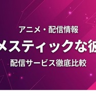 ドメスティックな彼女 配信