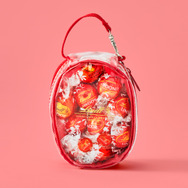 専用ポーチ（レッド）