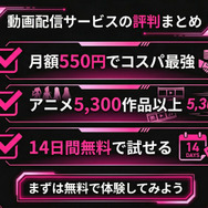 DMM TV評判まとめ