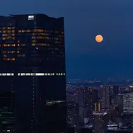 六本木天文クラブ～観月の夕べ「月を愛でる会」