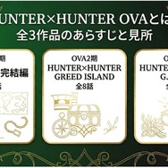 ハンターハンター ova あらすじと見所