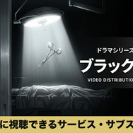 ブラックペアン 配信