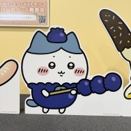 店内のパネル＆フォトスポット