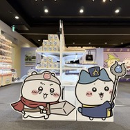 店内のパネル＆フォトスポット