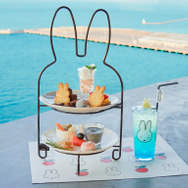 AOMORI×Dick Bruna TABLE