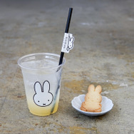 AOMORI×Dick Bruna TABLE