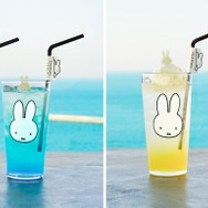 AOMORI×Dick Bruna TABLE