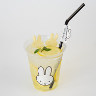 AOMORI×Dick Bruna TABLE