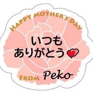 「メッセージペーパープレート」