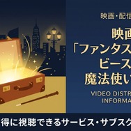 ファンタスティック・ビーストと魔法使いの旅 配信