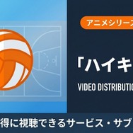 ハイキュー 配信まとめ