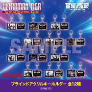 ブラインドアクリルキーホルダー 全12種／各660円(税込)