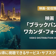 ブラックパンサー／ワカンダ・フォーエバーの配信情報まとめ