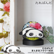 動物のお花屋さんマイペリドット「たれぱんだ フラワー」作品イメージ