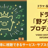 野ブタをプロデュース 配信