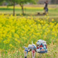 タチコマ鍋島焼