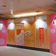 「TVアニメ『らんま1/2』展」の様子