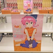 「TVアニメ『らんま1/2』展」の様子