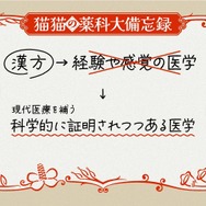 「猫猫（マオマオ）の薬科大探訪」スペシャル動画