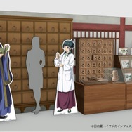 「猫猫（マオマオ）の薬科大探訪」展示ブースイメージ