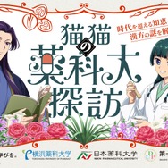 「猫猫（マオマオ）の薬科大探訪」キービジュアル