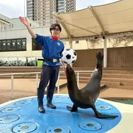 名探偵コナン 風駆ける天空都市