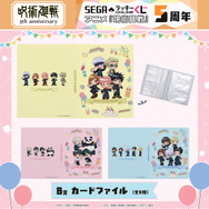 B 賞：カードファイル