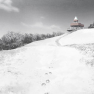 春アニメ『日本三國』第1話「泰平の誓い」先行場面カット