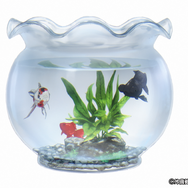 TVアニメ『カグラバチ』ティザーPV場面カット