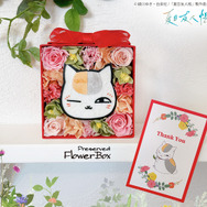 夏目友人帳 ニャンコ先生 赤BOX