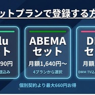 Disney+ 登録方法 セットプランで登録する方法