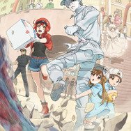 『はたらく細胞』第2キービジュアル (C)清水茜/講談社・アニプレックス・davidproduction