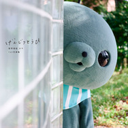 『教育番組 タマ 1st写真集 げんじつとうひ』