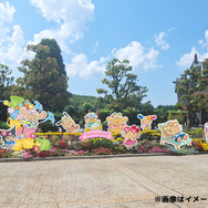 水やミストで涼しく！夏限定のガーデン＆フォトスポット