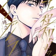 『身の程知らずのシンデレラ』第2巻