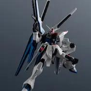 「ZGMF-X10A FREEDOM GUNDAM RENEWAL」