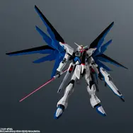 「ZGMF-X10A FREEDOM GUNDAM RENEWAL」