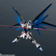 「ZGMF-X10A FREEDOM GUNDAM RENEWAL」