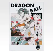 「一番くじ ドラゴンボール スペクタクルバトル」H賞：ポスターコレクション（選べる全10種）