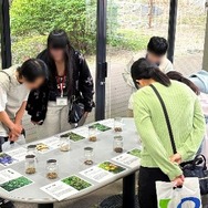 猫猫の薬科大『生薬』探索
