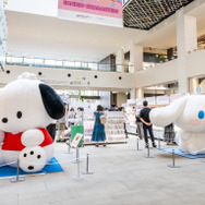 「MARK IS みなとみらい」Sanrio Puroland 35th Anniversary Shop