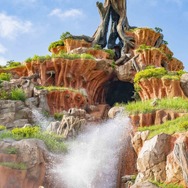 夏ディズニーがやって来た！新登場の“びしょ濡れ”バージョン「ガジェットのゴーコースター」をひと足早く体験したよ☆【レポート】