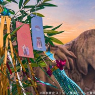 『七夕フェスティバル』
